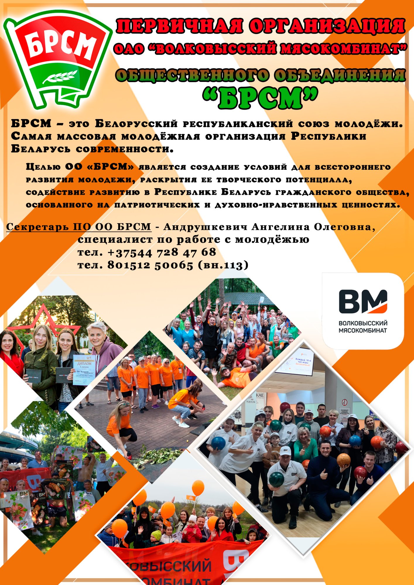 БРСМ плакат1.jpg