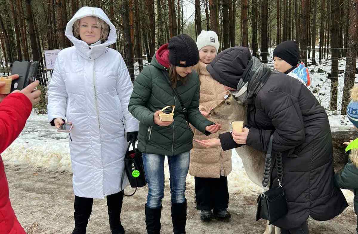 изображение_viber_2023-12-21_14-16-11-464.jpg